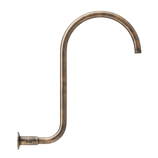 S Neck Shower Arm